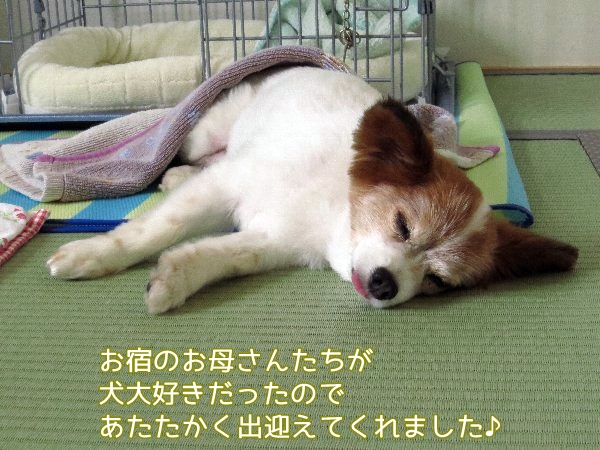 wato4.jpg